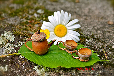 That's what can be made from acorns !. Photo №13