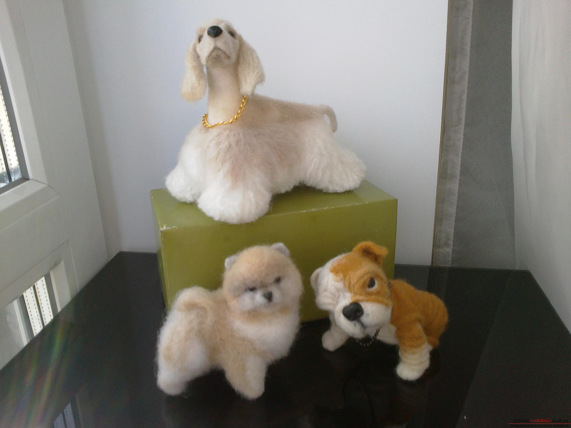 Description of toys in the form of puppies of popular breeds, made in the technique of dry felting. Photo # 2