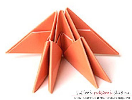 modular origami swan. Photo # 24