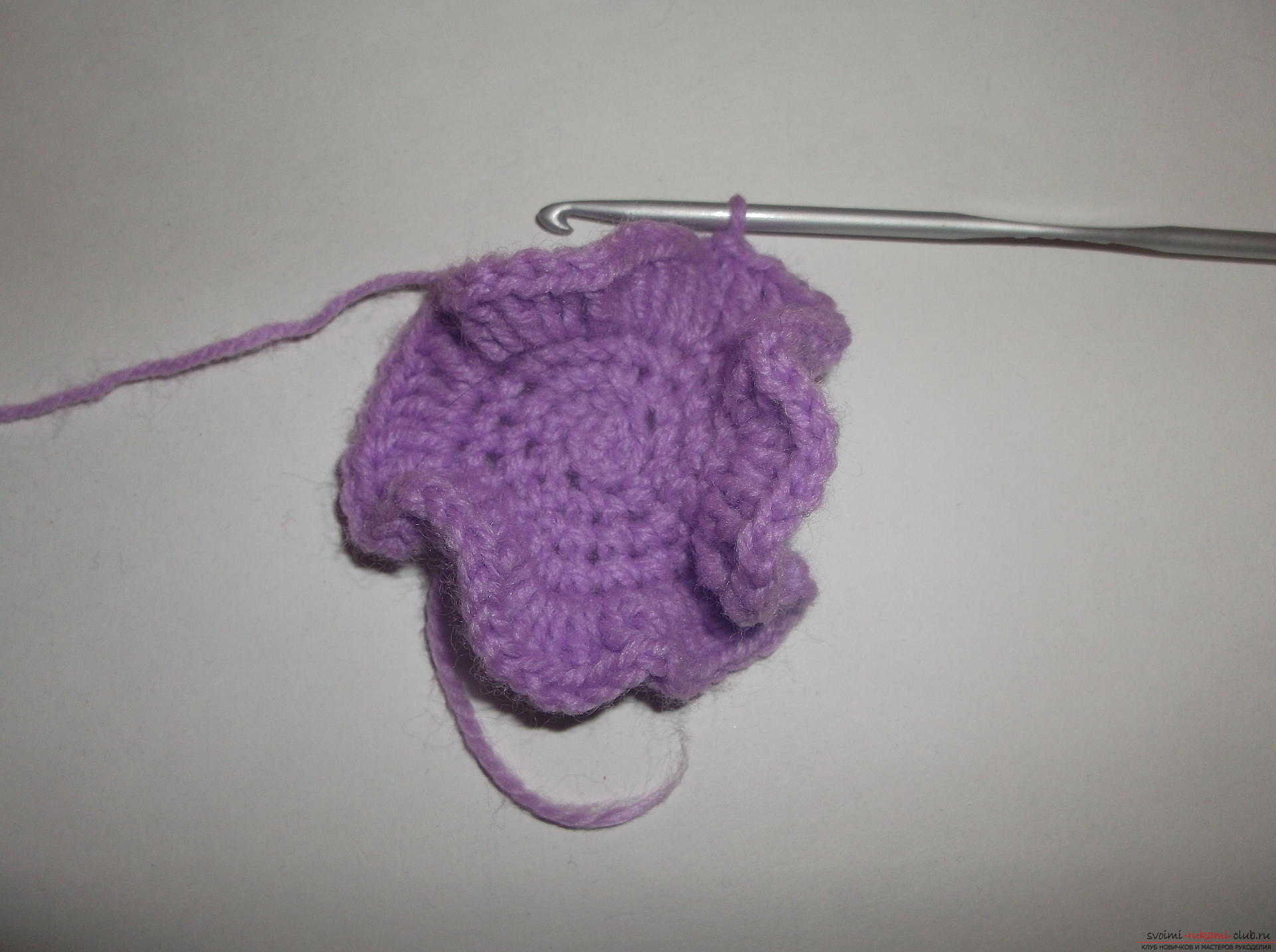 A lesson on crochet crochet lilac poppy. Picture №3
