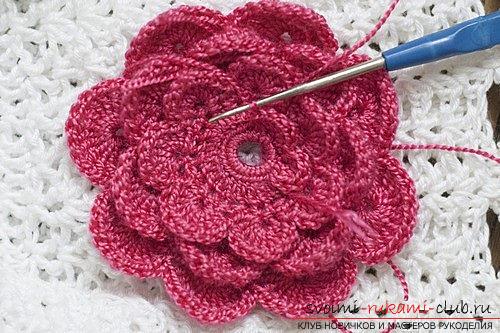 How to tie flowers with a crochet, tips and master classes with a photo .. Photo # 34