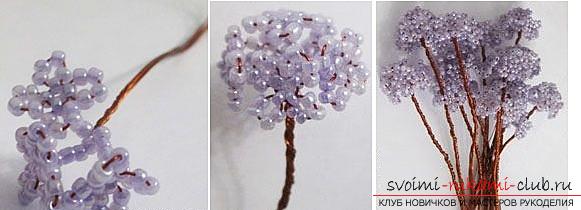 How to make a lilac branch of beads, step-by-step photos and a description of several weaving techniques for beaded floristics. Photo №13