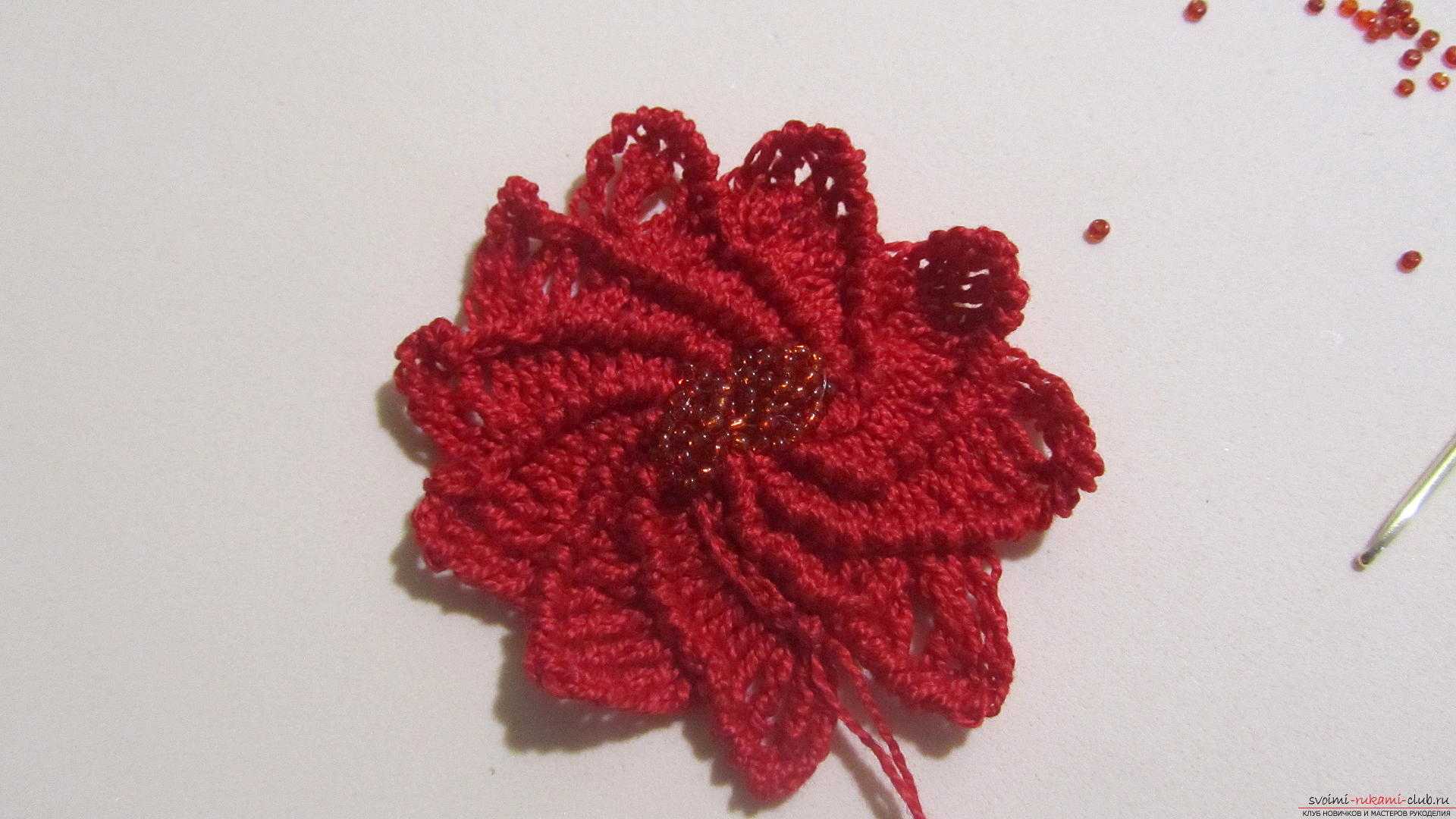 This article will give a lesson on how to crochet the flowers of the Poissentia, a master class with photographs. Photo Number 19