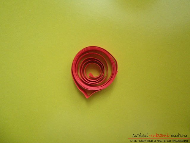 We make pictures in the quilling technique. Photo # 2
