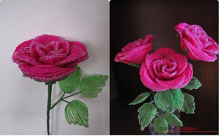 How to weave a rose from beads. step-by-step photos and a detailed description of the weaving of the flower and the leaves of the rose in various techniques. Photo №1