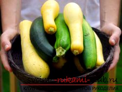 How to make handmade items from courgettes. Photo №1