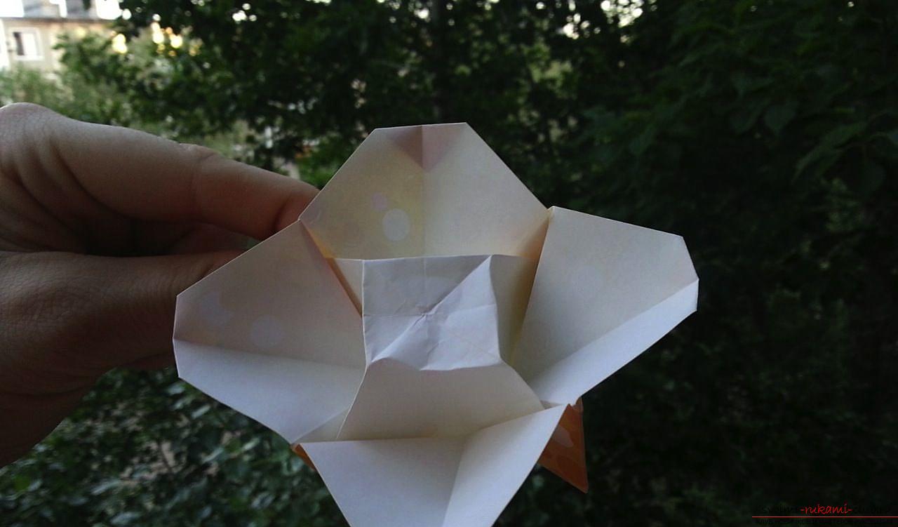 Simple schemes of origami flowers. Photo # 2