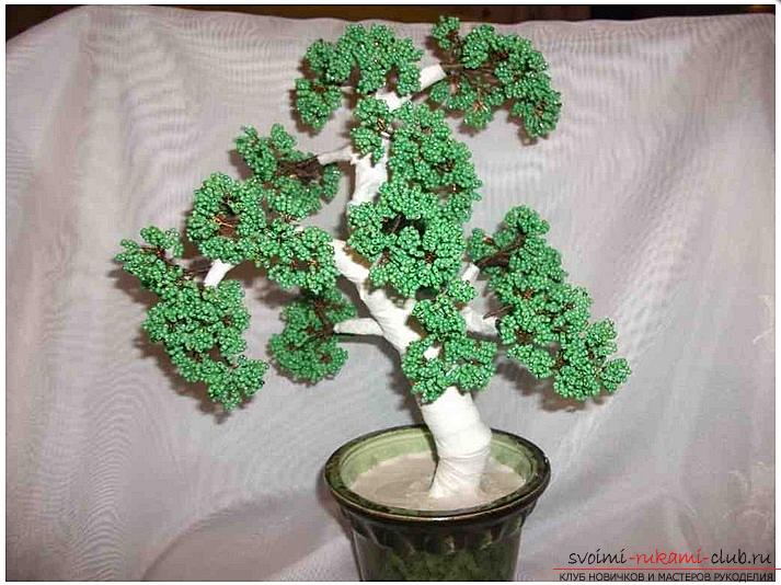 How to make a bonsai tree of beads with your own hands, several master classes of creating bonsai in different color solutions, step-by-step photos and description. Picture №10