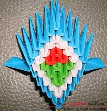 Hoe maak je een pauw in de techniek van modulaire origami, stap-voor-stap foto's en gedetailleerde werkbeschrijving, kleuroplossingen bij het uitvoeren van pauwenveren met 