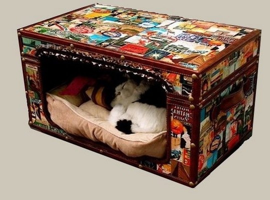 How to make a pet house from an old suitcase photo