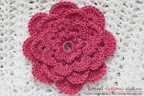 How to crochet flowers with a crochet, tips and master classes with a photo .. Photo # 35