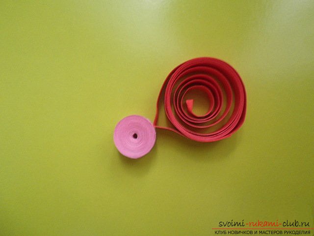 We make pictures in the quilling technique. Photo №8