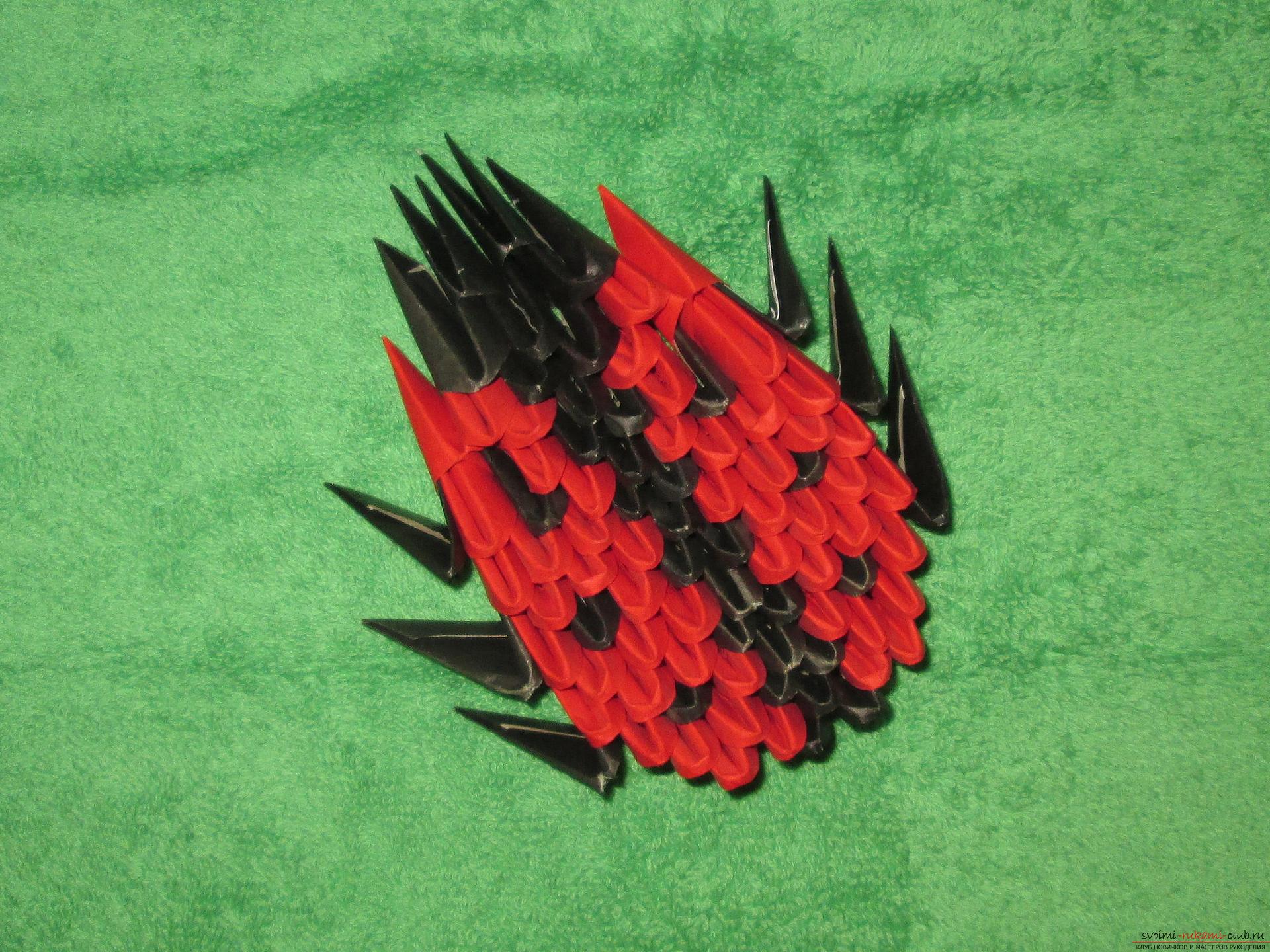 Този майсторски клас ще ви покаже как да направите модулен оригами от хартия - калинка .. Снимка # 6