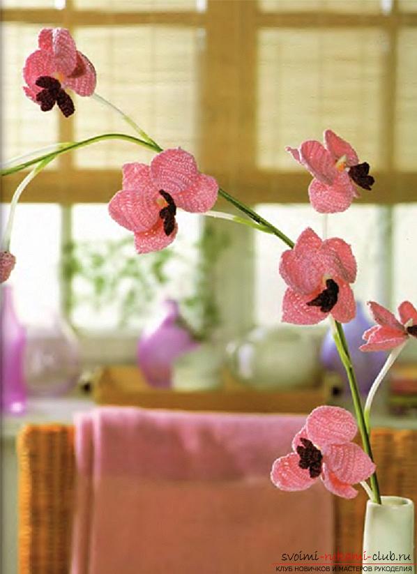 Hoe een bulk orchidee, een narcis, een viooltje en een tulp haakwerk, een schema en een beschrijving te verbinden .. Foto # 3