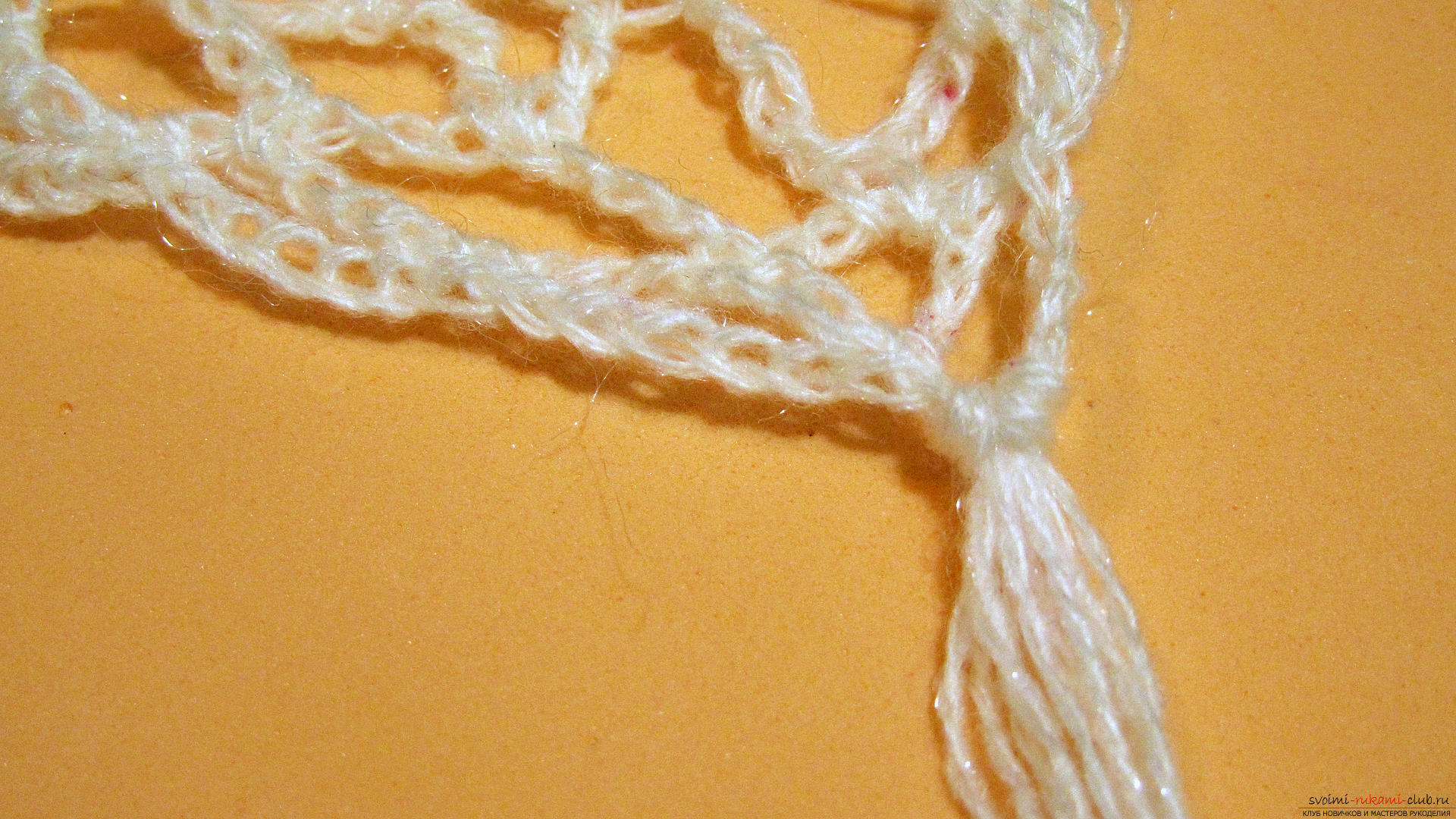 The master class is dedicated to knitting a beautiful stitch with a crochet. Photo №46