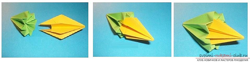 Gratis masterclasses voor het maken van modulaire origami-ballen, stapsgewijze foto's en een beschrijving .. Foto # 36