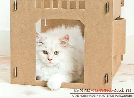 Спосіб зробити будинок для кішки своїми руками: тепле, гарне житло за допомогою інструкції .. Фото №1