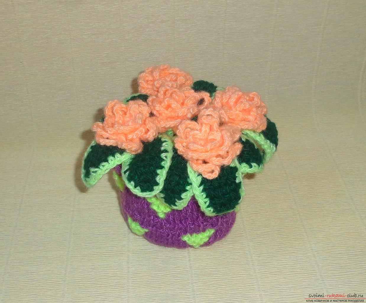 This master class of crochet crochet contains a rose scheme and a description of knitting .. Photo # 35
