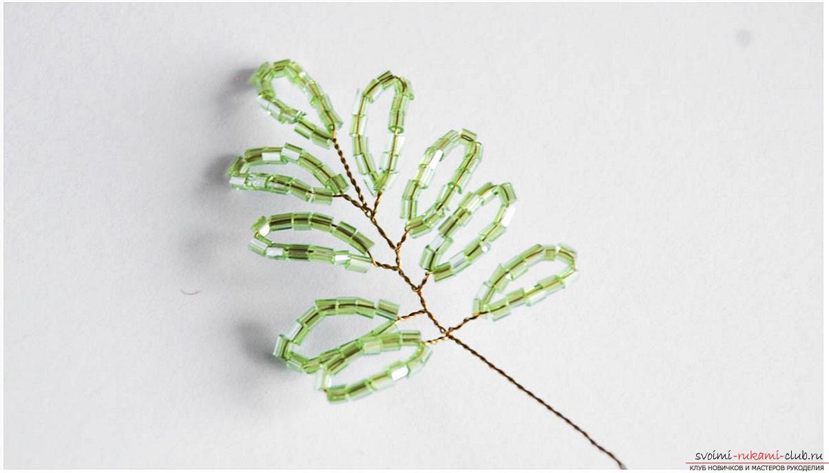 Sådan væves wisteria fra perler, trin-for-trin fotos og en beskrivelse af wickerwork af japanske og kinesiske wisteria i loop teknik, tips om at dekorere håndværk. Foto №13