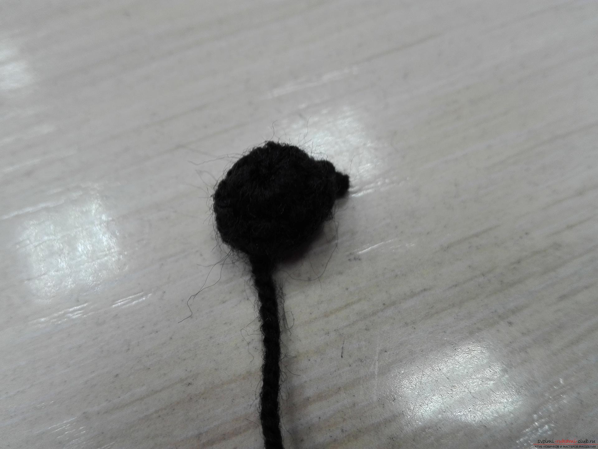 This master class toy itself teach how to tie a zebra crochet. Photo number 12