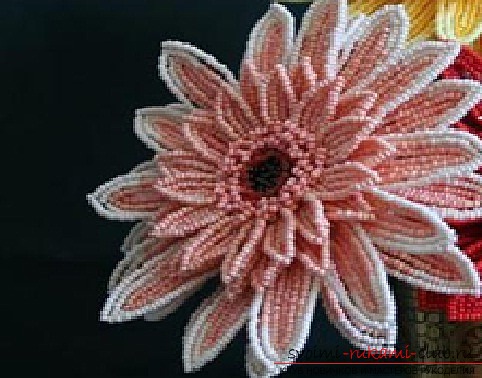 Flowers gerbera from beads step by step. Photo №13