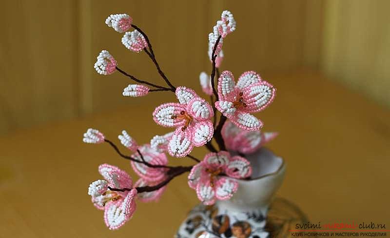 How to weave sakura from beads, detailed master classes with step-by-step photo and description .. Photo # 33