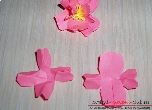 Sakura flowers in origami technique. Photo №8