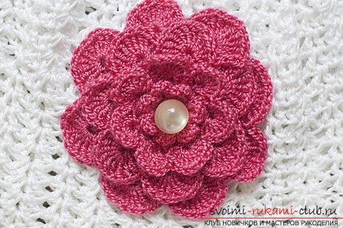 How to tie flowers with a crochet, tips and master classes with a photo .. Photo №17