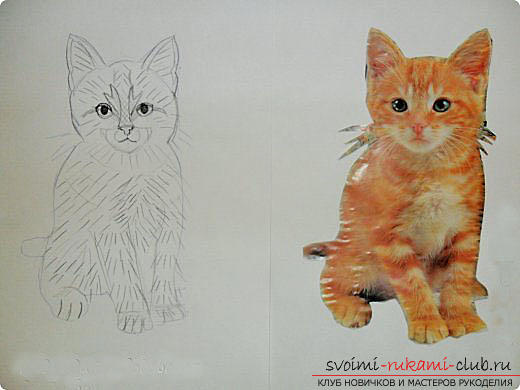 We embroider with a smooth beautiful red cat. Photo №4