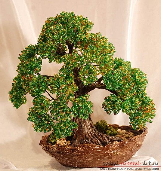 How to make a tree of beads with your own hands? Schemes and a master class for work. Photo №1
