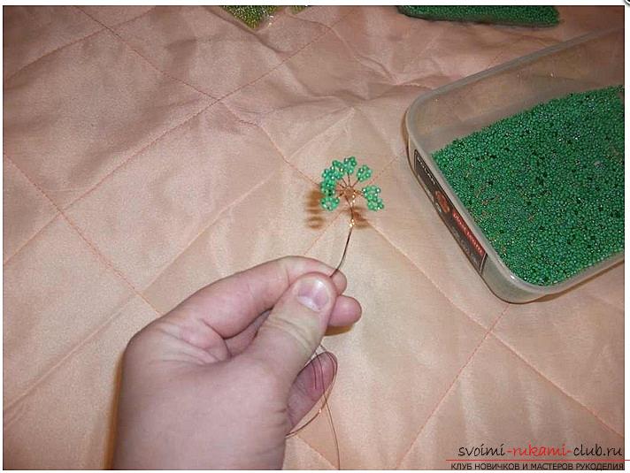 How to make a bonsai tree of beads with your own hands, several master classes of creating bonsai in different color solutions, step-by-step photos and description. Picture №3