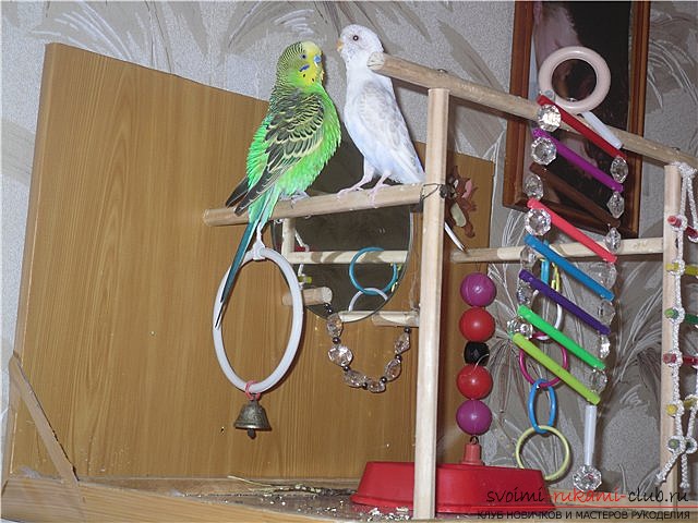 Toys for parrots, made by own hands. Photos of toys and ideas for them .. Picture №1