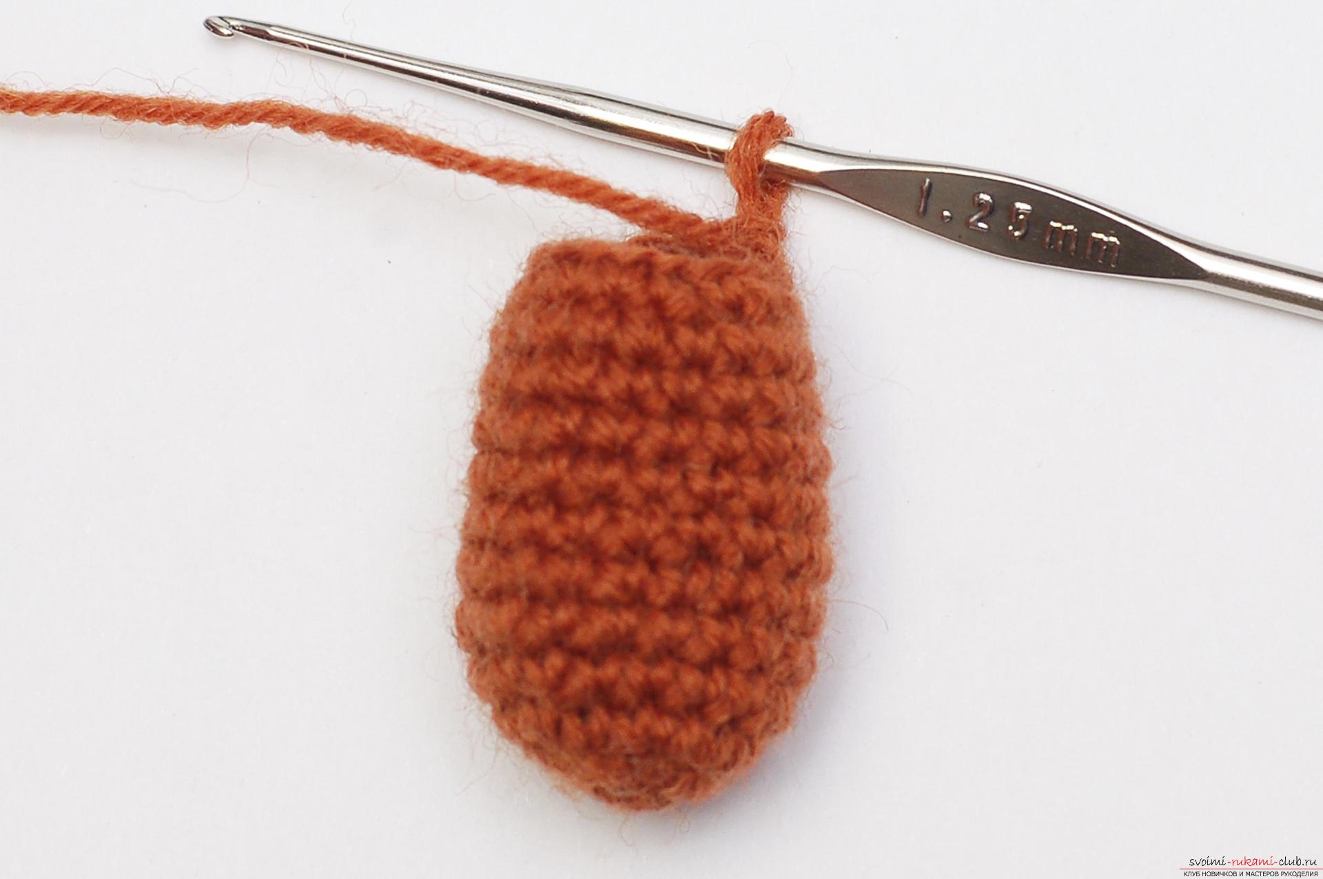 In this master class you will learn how to tie a crochet bean as a gift to the Pope on February 23. Photo # 27