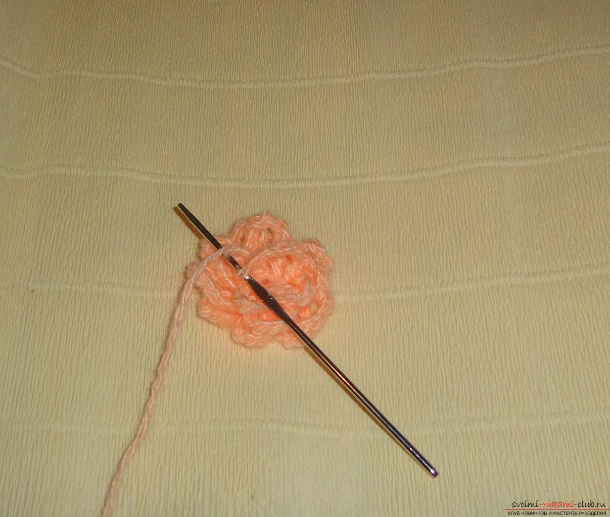 Denne mesterklasse af hæklehæklet indeholder en roseskema og en beskrivelse af strikning. Foto # 22