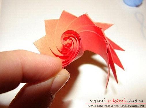 Creation of an acute rose in quilling technique. Photo # 2