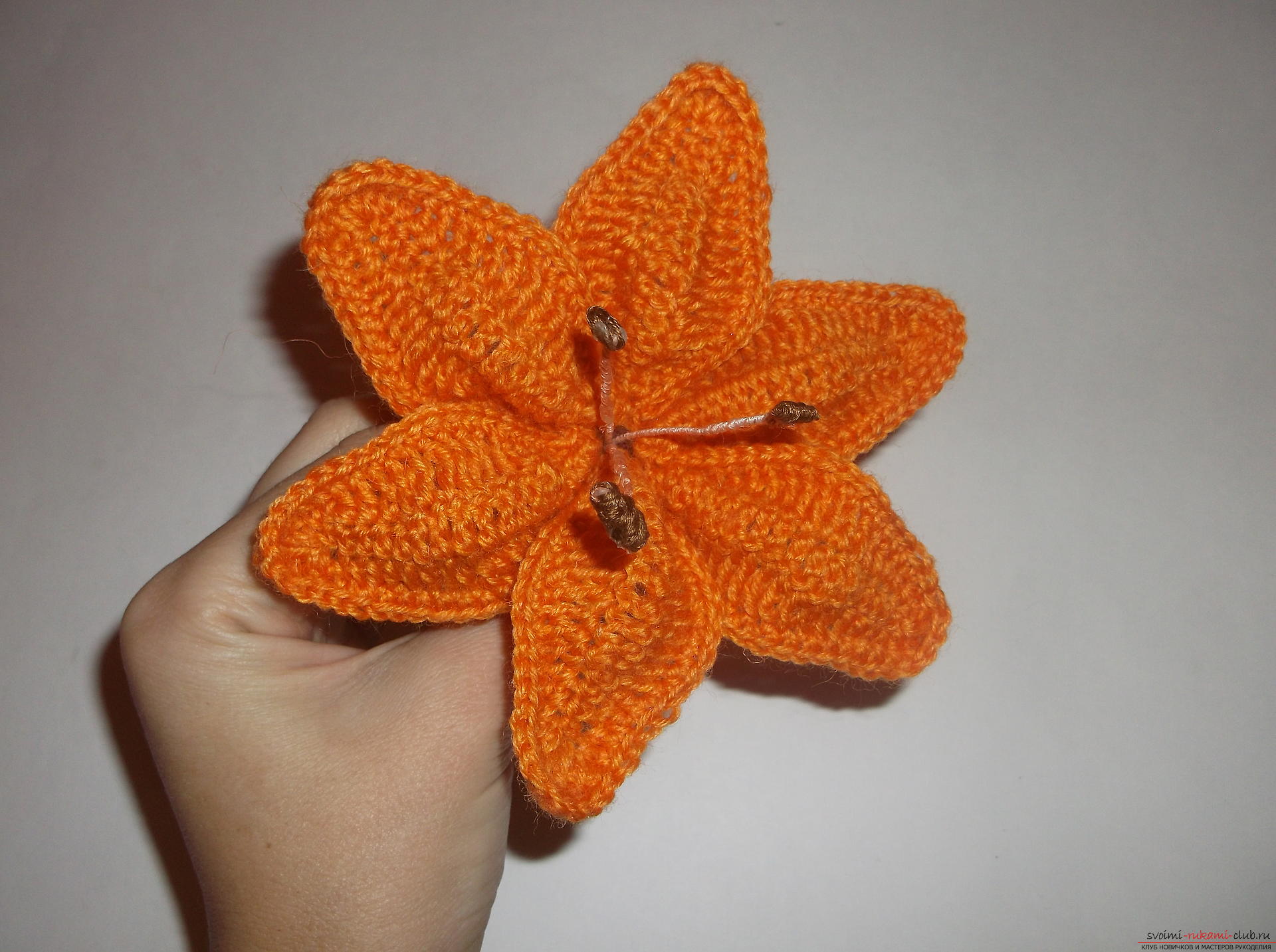 Photo to a lesson on crochet crochet lilies. Photo Number 9