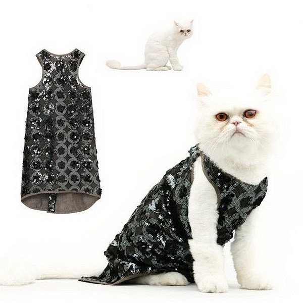 Clothes for cats, made by own hands. Clothing for pets is stitched for free .. Picture №2