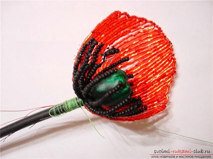How to weave flowers of poppies, photo and description of weaving a bouquet of poppies. Photo №4