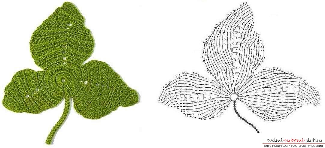 Schemes and a detailed description of how to crochet leaves of different formats .. Photo # 8