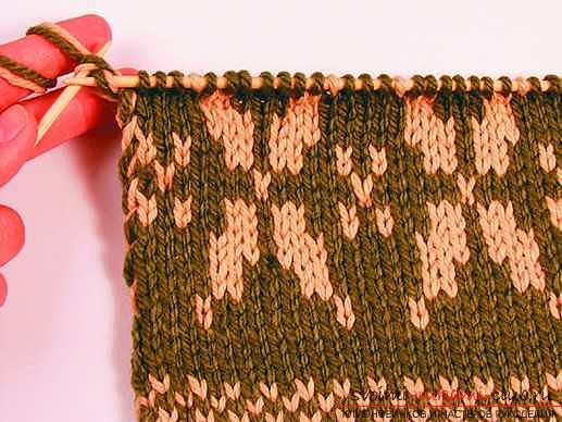 Knitting on knitting needles, knitting for knittingbeginners, knitting patterns on knitting needles, openwork patterns, how to knit openwork patterns, jacquard patterns, how to knit a lazy jacquard pattern with knitting needles, braids, master classes for knitting them .. Photo # 12