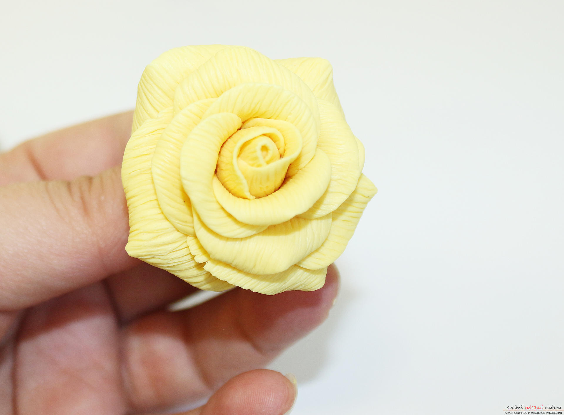 This detailed master class with a photo and description will teach you how to make your own flowers from polymer clay for a hair clip .. Photo # 21