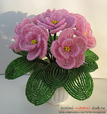 How to weave from beads gently pink violets, step-by-step photos and detailed instructions of various weaving techniques for creating flowers and violet leaves. Photo №1