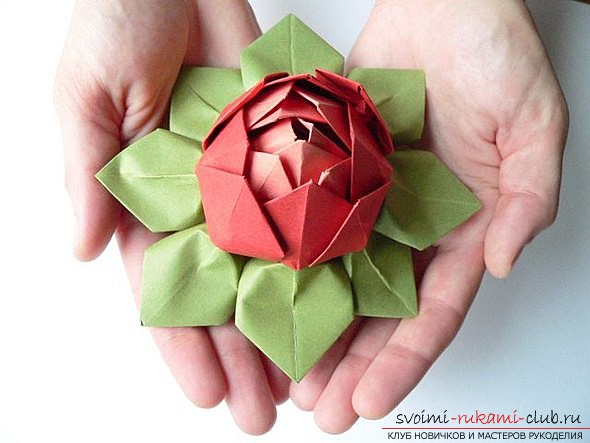 Ideas for origami flowers from paper. Photos of interesting works .. Photo №1