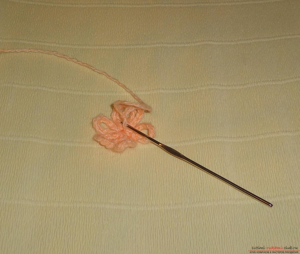 Denne mesterklasse af hæklehæklet indeholder en roseskema og en beskrivelse af strikning. Foto №19