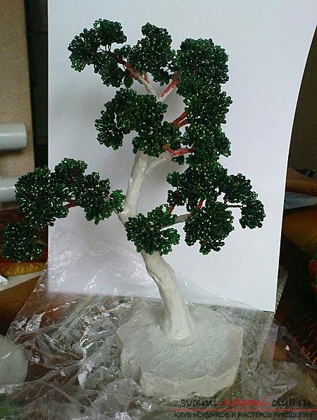 Hoe maak je een bonsai van kralen met je eigen handen met turn-based foto's. Foto nummer 12
