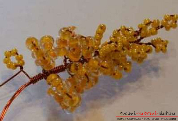 Acacia made from beads. Photo Number 9