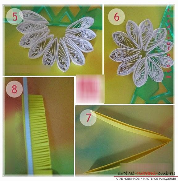How to make quilling chamomile with fringe with your hands - photo and master class. Picture №3