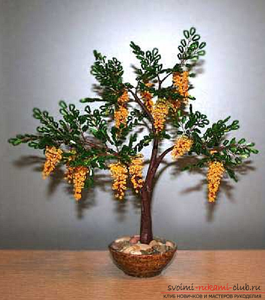 Acacia made from beads. Photo №29