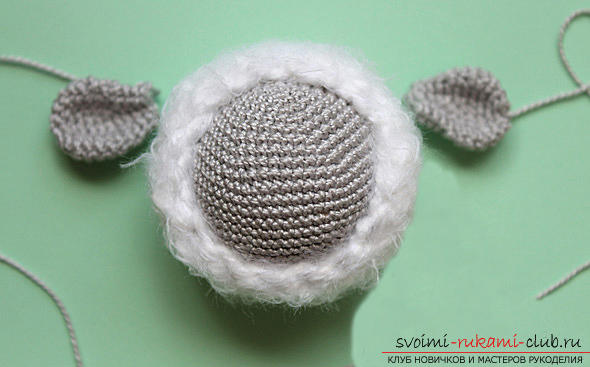 Tie the lamb amigurumi with your own hands using the hook: step-by-step description and photo. Picture №10