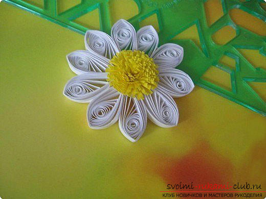 Quilling-techniek, verschillende bloemen in technologiequilling met eigen handen, composities maken met kleuren, quillingtechnieken, tips, aanbevelingen en instructies om ze te maken met gefaseerde foto's.